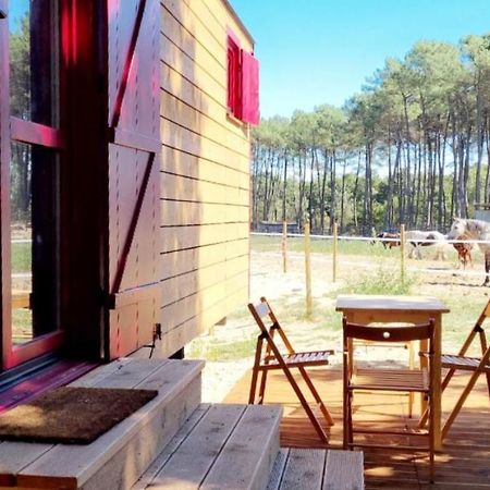 Roulottes Cocooning Au Coeur Des Landes Hotel Mées Екстериор снимка