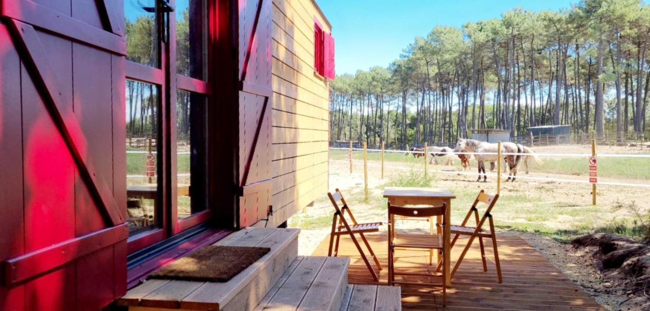 Roulottes Cocooning Au Coeur Des Landes Hotel Mées Екстериор снимка