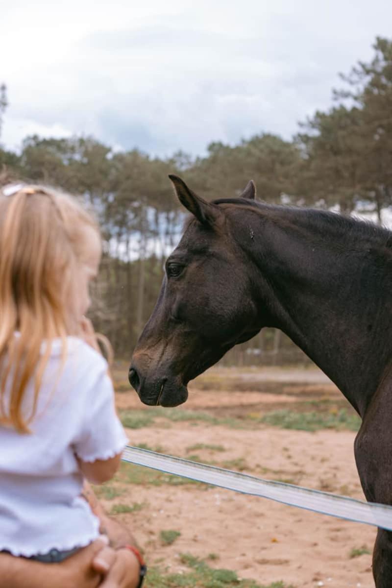 Roulottes Cocooning Au Coeur Des Landes Hotel Mées Екстериор снимка