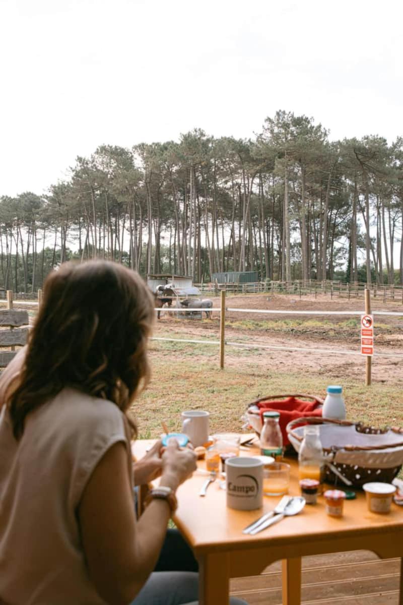 Roulottes Cocooning Au Coeur Des Landes Hotel Mées Екстериор снимка